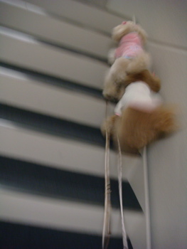 2010.3.12 すっかり、うっかり・・・_a0083571_15291722.jpg