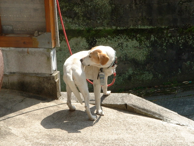 f0185981_21504673.jpg