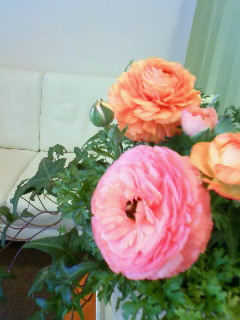 花・華・ハナ_b0117785_15432554.jpg
