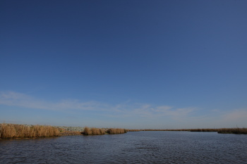 a0097491_11453695.jpg