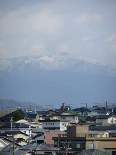 b0189895_841218.jpg