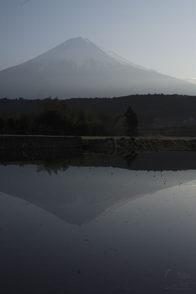 水が入る_b0064396_19174496.jpg