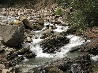 c0212298_19945.jpg