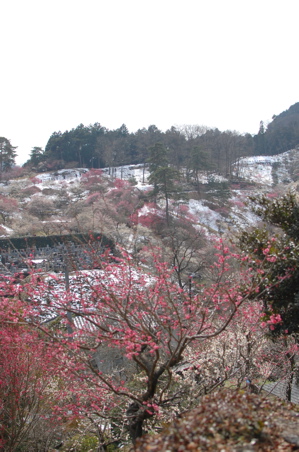 a0011999_2364137.jpg