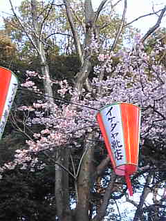d0052904_23163412.jpg