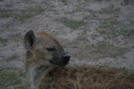 ケニヤ・さようならモラトリアム旅行‐4_e0168109_15561827.jpg