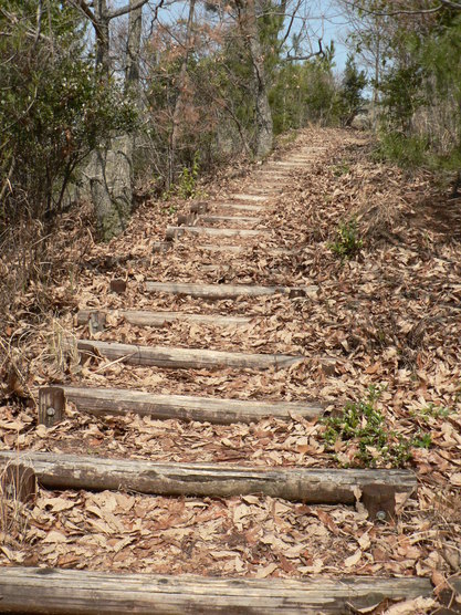 陽だまり登山_f0219710_8154938.jpg