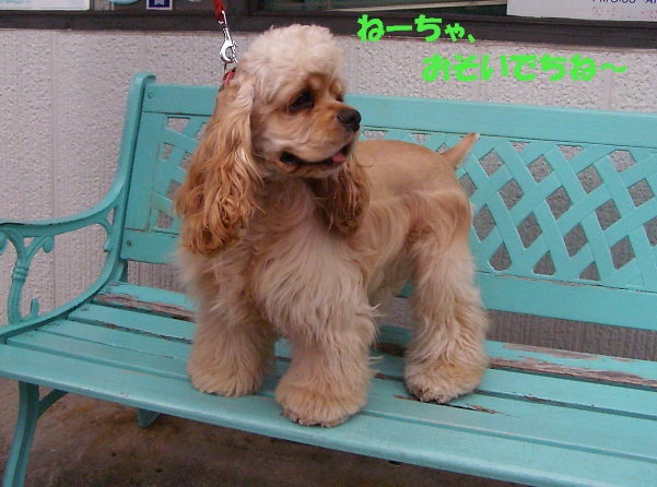 ここが年貢の収め時_b0067012_22102816.jpg