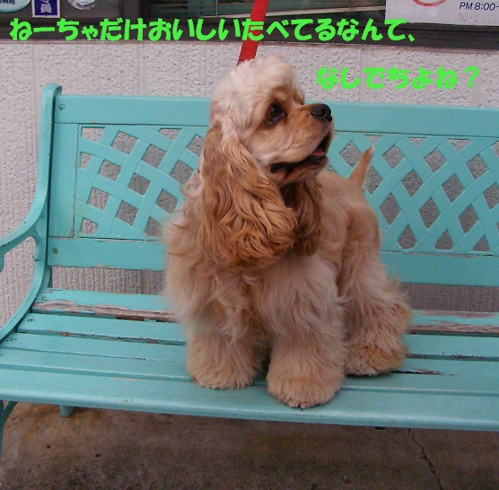 ここが年貢の収め時_b0067012_22131681.jpg