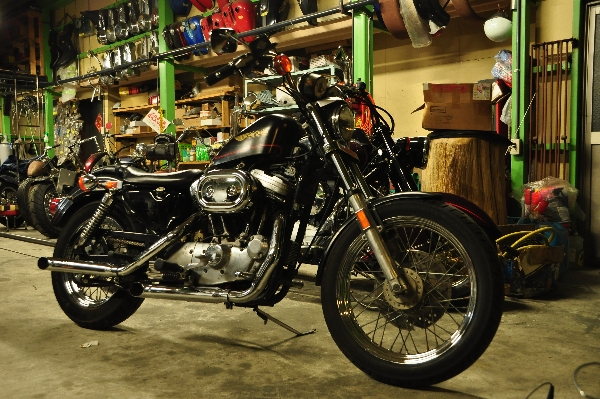 Harley-Davidson_a0159215_133407.jpg
