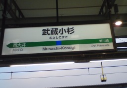 武蔵小杉に新駅開業_a0073616_22342660.jpg