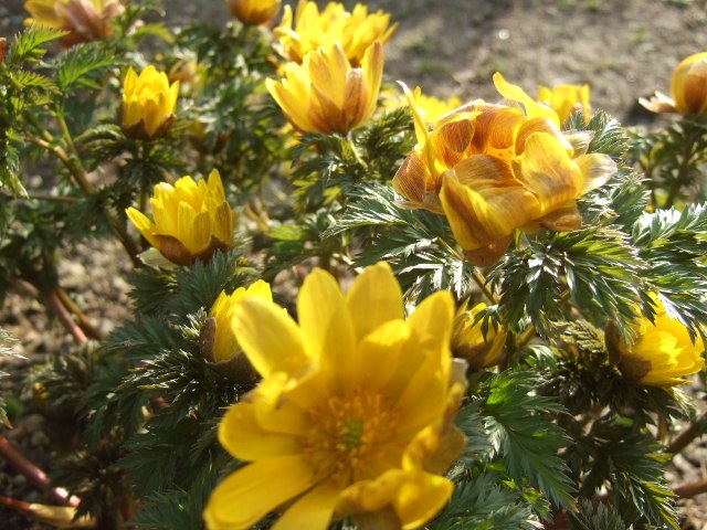 f0143119_18341455.jpg