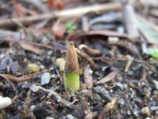 f0143119_18372618.jpg