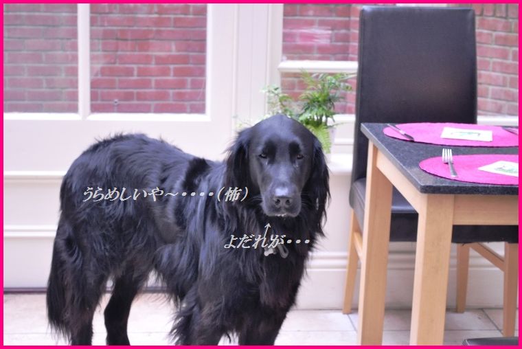 るるる~♪なアスパラと春キャベツの即席和え_d0104926_472912.jpg