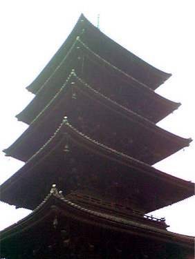 突然の訪問者_e0103327_15265682.jpg