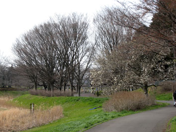 b0075429_13375848.jpg