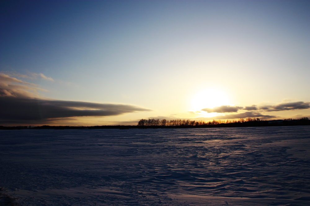 雪原と雲 Ⅴ_b0184742_10551252.jpg