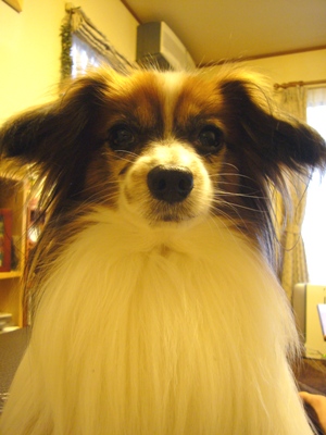 e0100046_1713540.jpg