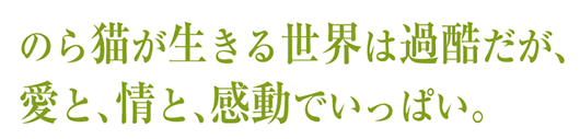 おいらクロッチ、のら猫だいっ！_f0193056_93122.gif