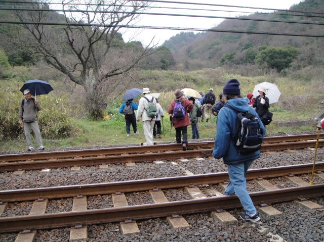 野の花と出会う会「13峠を踏破しよう！｣番外編「灰賦峠・白峠」_c0108460_23562822.jpg