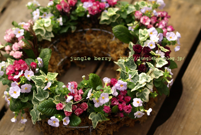リングバスケット Jungle Berry リングバスケット Jungle Berry