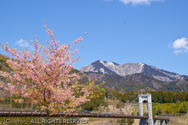 戸川公園～早春の風～　その１_b0136768_22205929.jpg