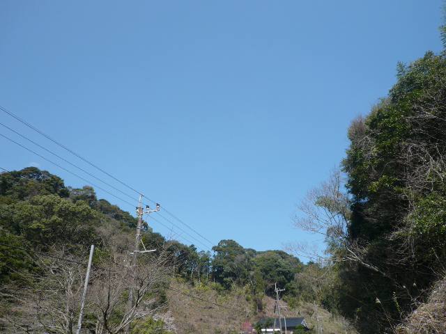f0048372_1325583.jpg