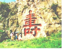 寿比南山_f0138875_1053124.jpg