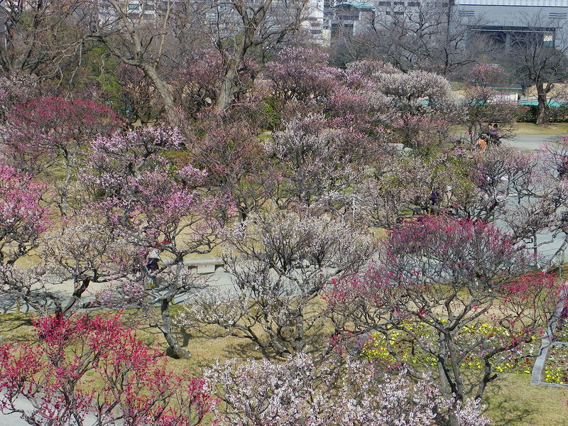 f0204094_103947.jpg