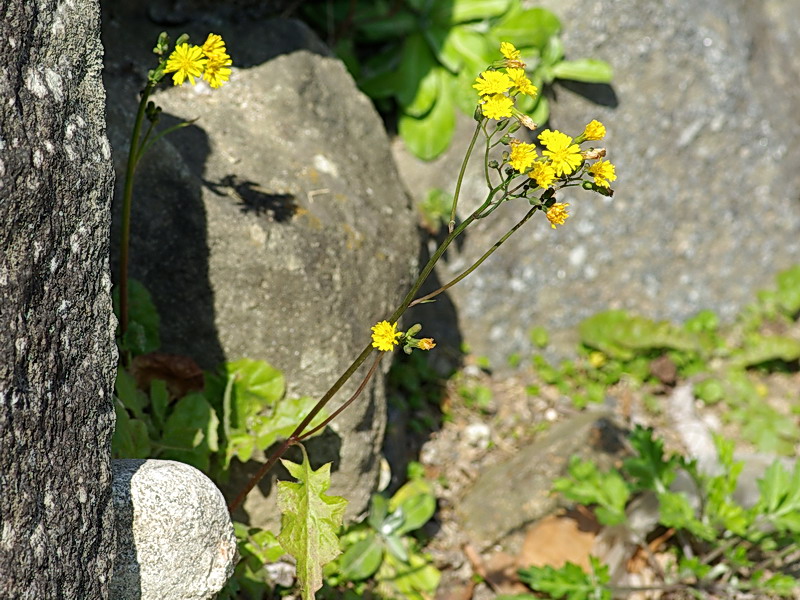 f0204094_9464083.jpg
