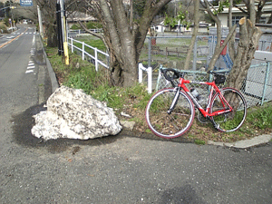 b0174996_18275145.gif