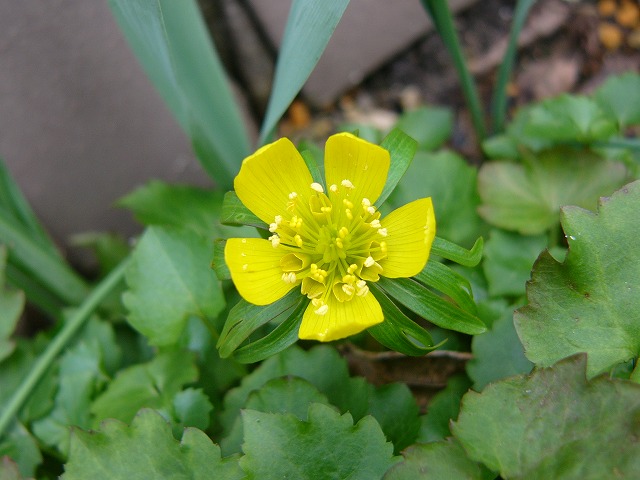 a0123003_18504577.jpg
