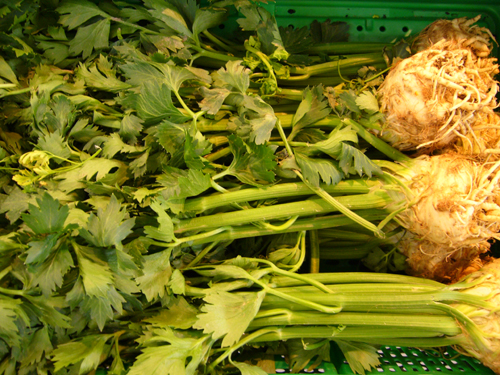 イタリアで最も地味な野菜かな 根セロリ カブセロリ イタリア食 Primo Piatto イタリアで最も地味な野菜かな 根セロリ カブセロリ イタリア食 Primo Piatto