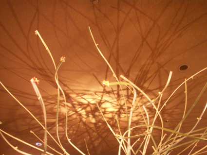c0129404_1582332.jpg