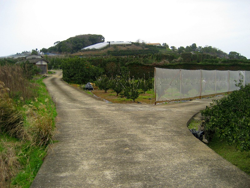 3月8日　九州自然歩道～川に落ちながら（泣）_d0152306_22585880.jpg