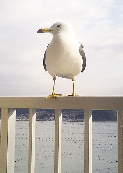 c0014117_1323517.jpg