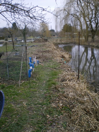 c0124619_5362778.jpg