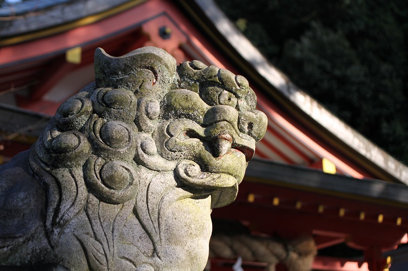 大県神社の梅_a0125122_19461979.jpg