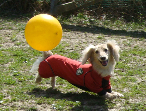 c0117831_21114727.jpg