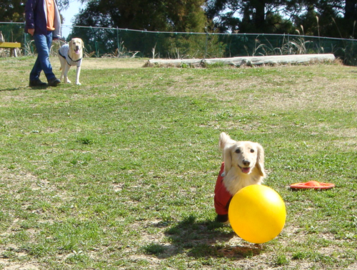 c0117831_2112227.jpg