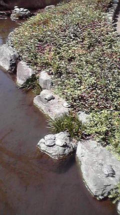 e0120131_16491031.jpg