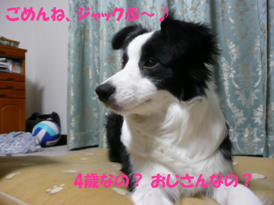 c0147241_22175192.jpg