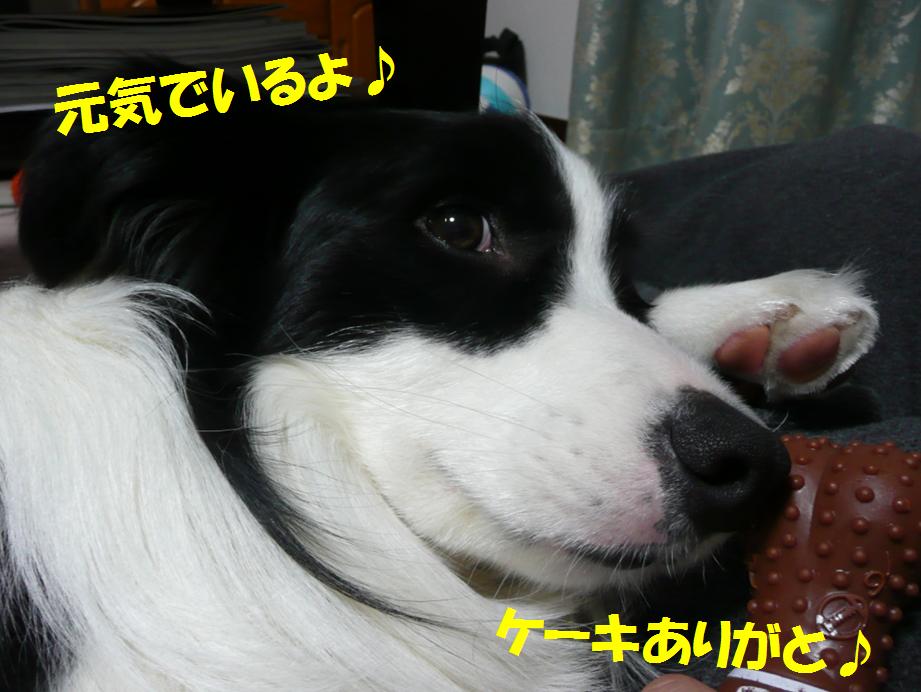 c0147241_22181245.jpg
