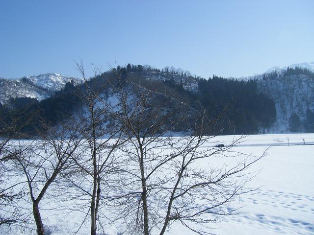 e0146841_21475947.jpg