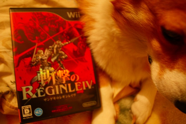 Wii「斬撃のレギンレイブ」_c0173042_60019.jpg