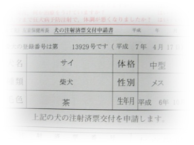 何度でも・・・サイを想う_c0049950_3295380.jpg
