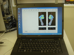 d0056455_20393256.jpg
