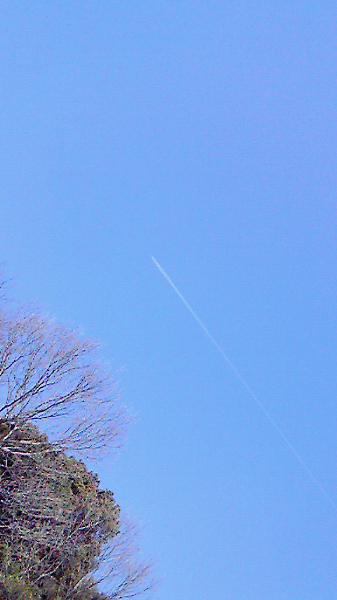 e0124155_22977.jpg