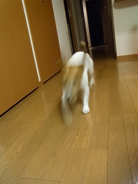 d0143957_14153033.jpg
