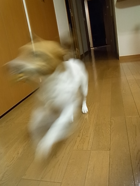 d0143957_14154311.jpg